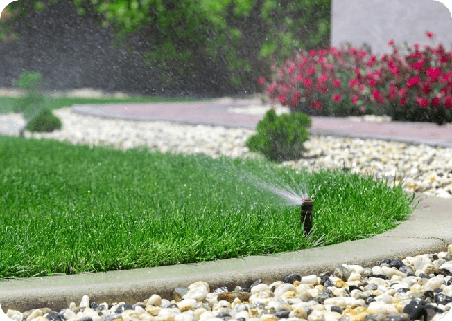 A water sprinkler spraying green grass in the middle of a garden.