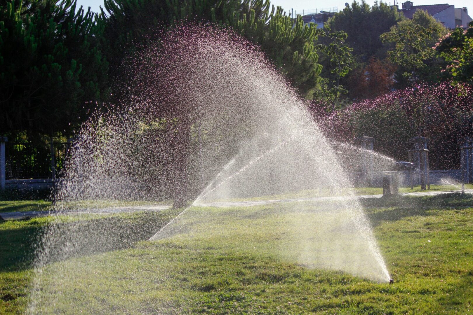 A water sprinkler spraying out of the ground.