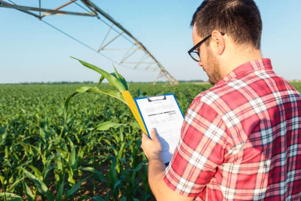 A man holding up a corn stalk in front of an irrigation system.