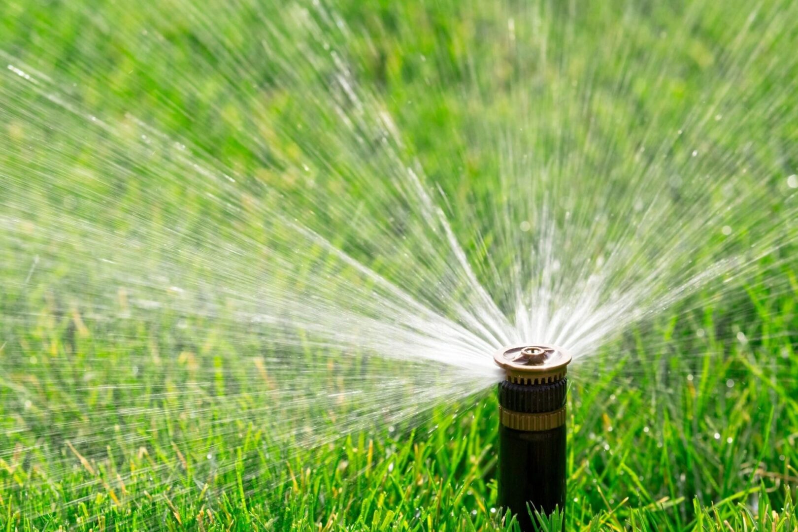 A close up of a water sprinkler spraying water