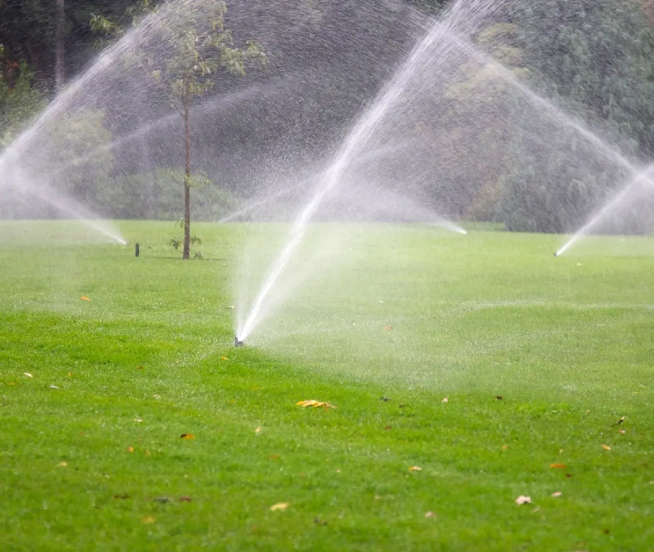 A field with sprinklers spraying water on it.