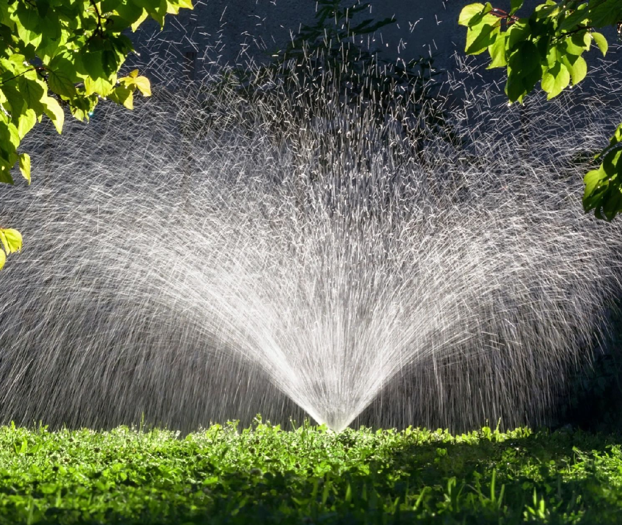 A water sprinkler spraying out of the ground.