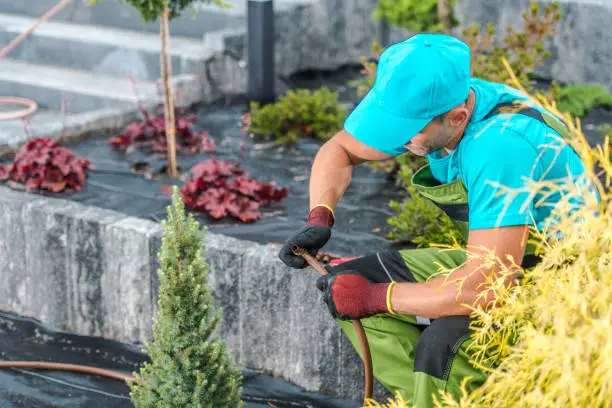 A man in blue shirt and green pants working on bushes.