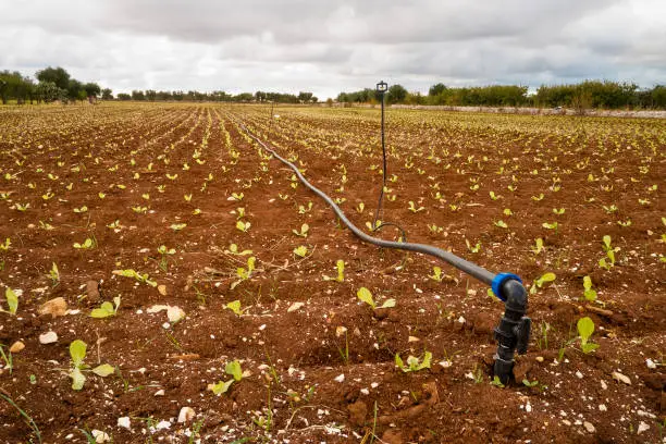 A water pipe in the middle of an empty field.