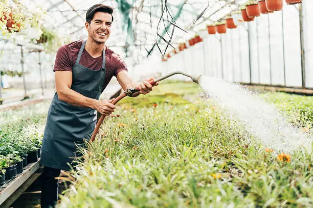 A man watering plants in an indoor garden.