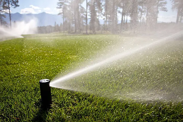 A lawn sprinkled with water from a garden hose.