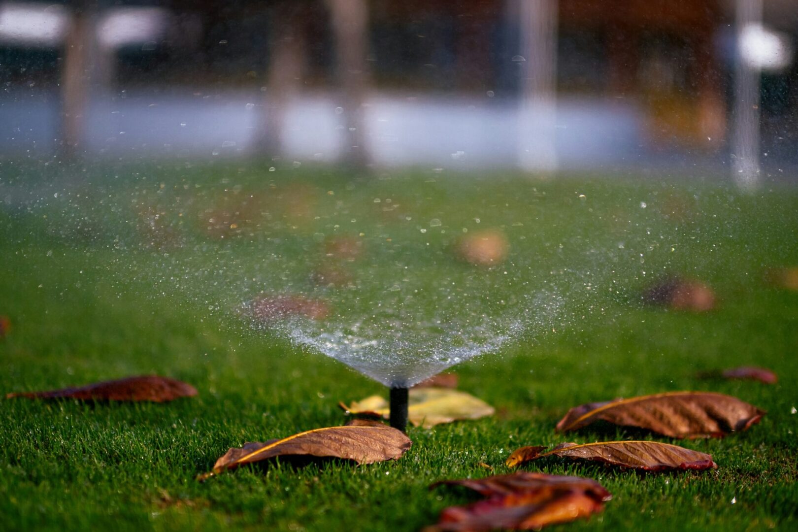 A lawn sprinkled with leaves and water is being watered.