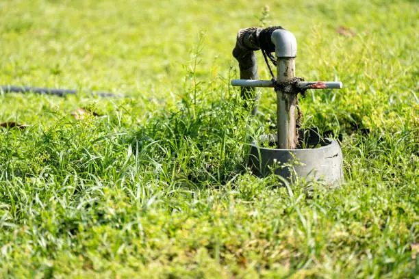 A fire hydrant in the middle of some grass