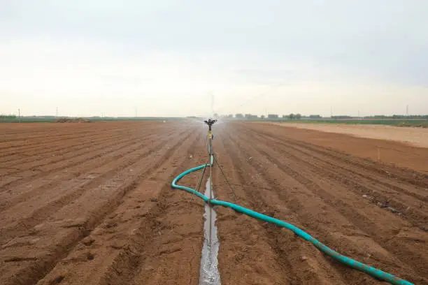 A person watering the ground with a hose.