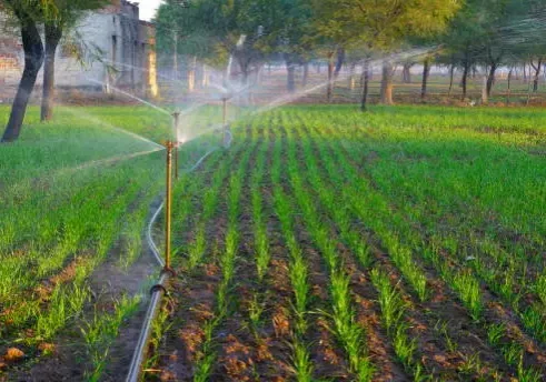 A field with water sprinklers spraying on it.