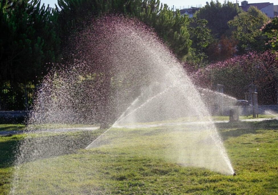 A water sprinkler spraying out of the ground.